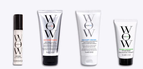 COLOR WOW QUICK FRIZZ TRAVEL KIT